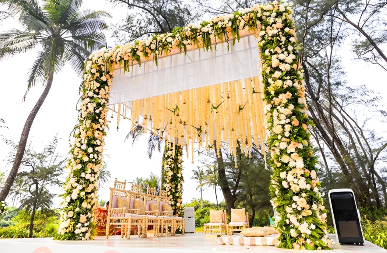 The Viditi Events 3