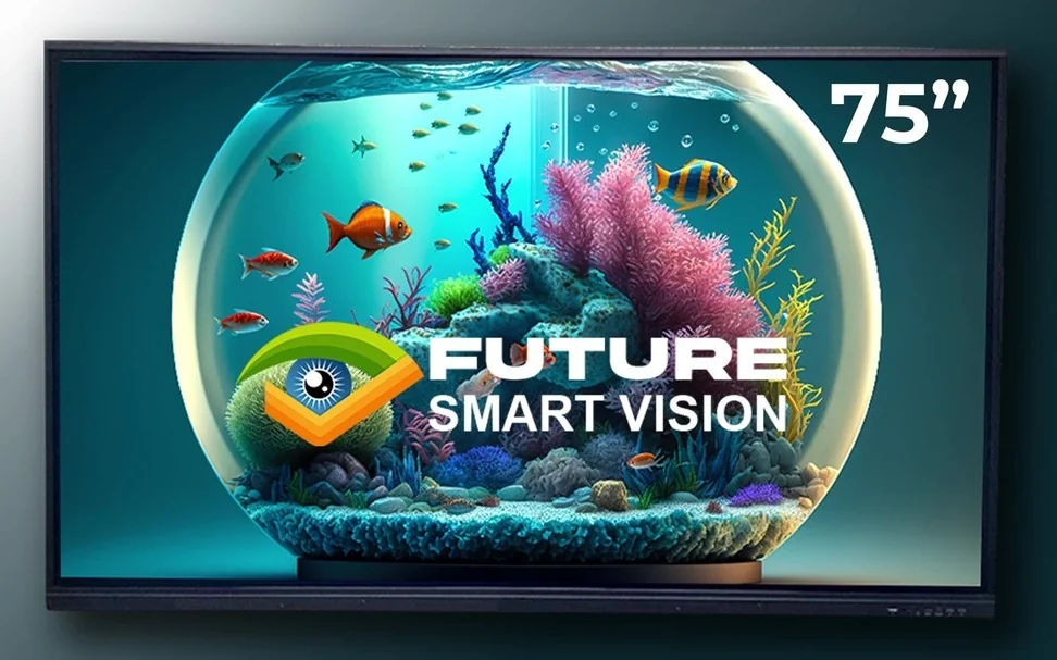 Future Vision 2