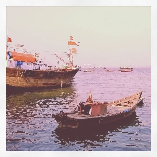 Lensfixed Photo Works — Portfolio