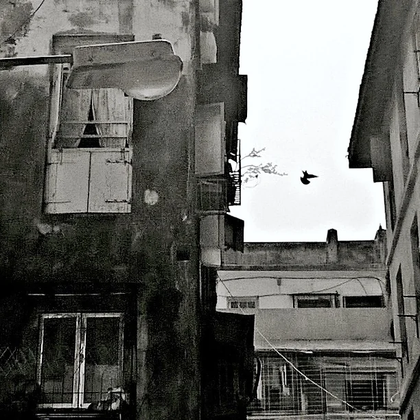 Lensfixed Photo Works — Portfolio