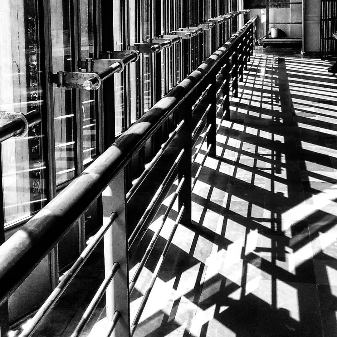 Lensfixed Photo Works — Portfolio