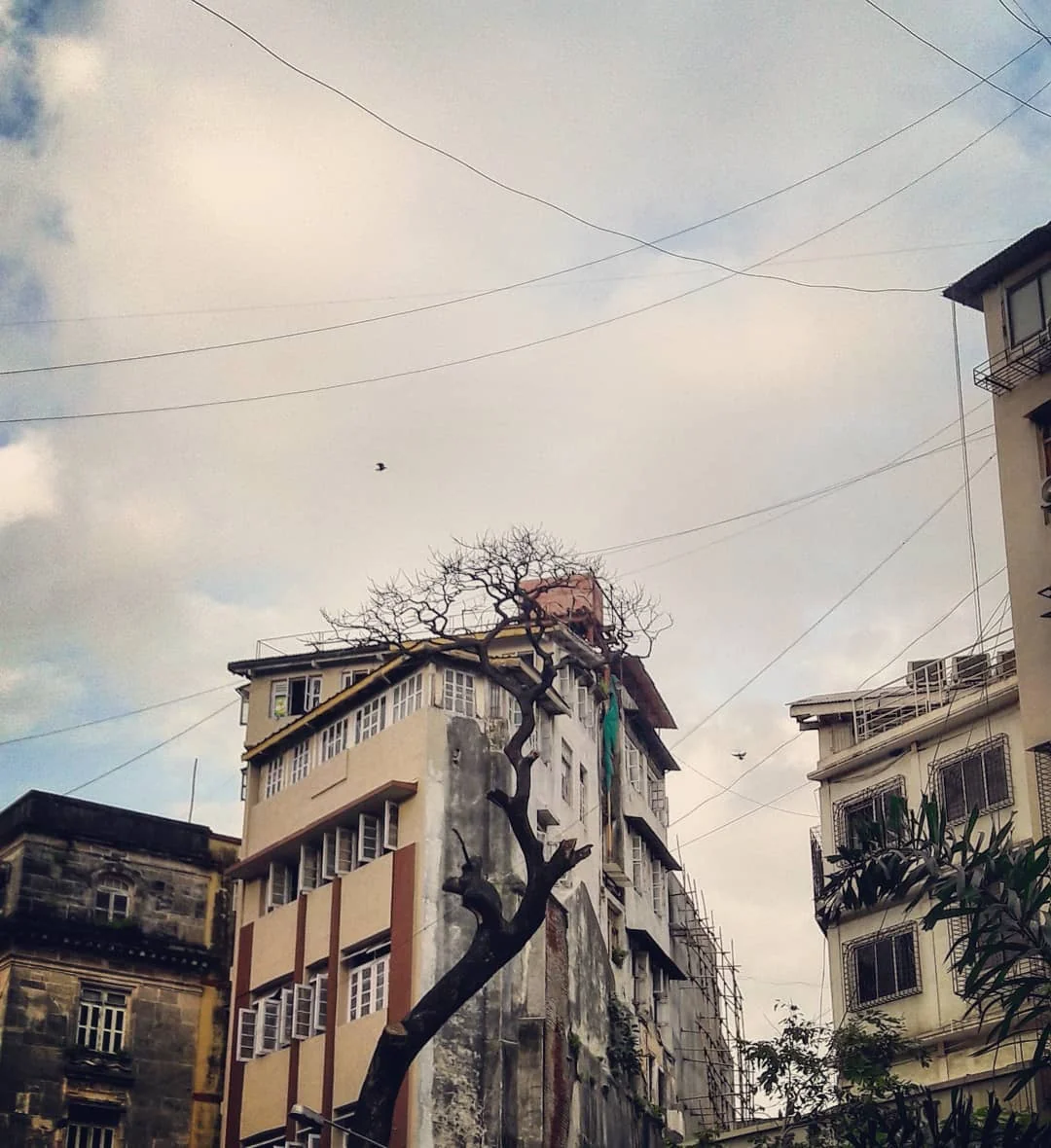 Lensfixed Photo Works — Portfolio
