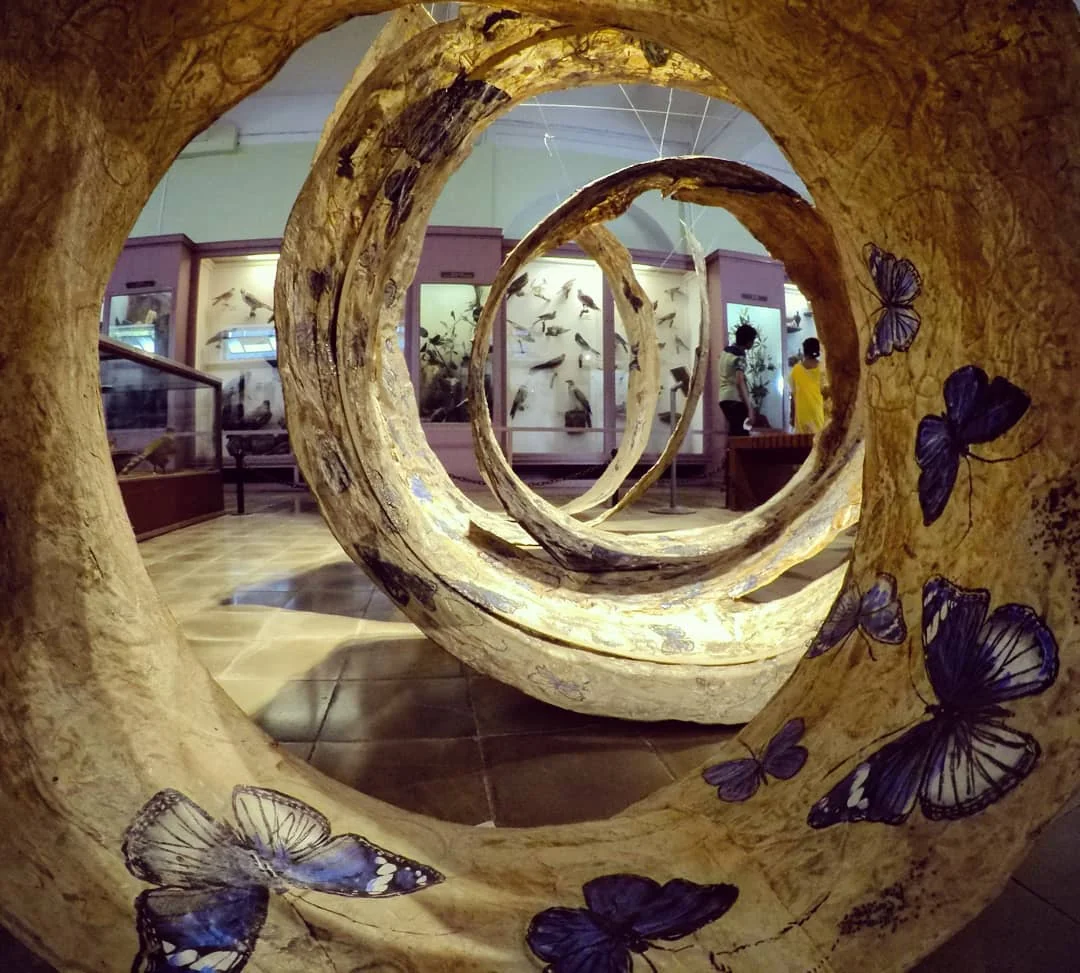Lensfixed Photo Works — Portfolio