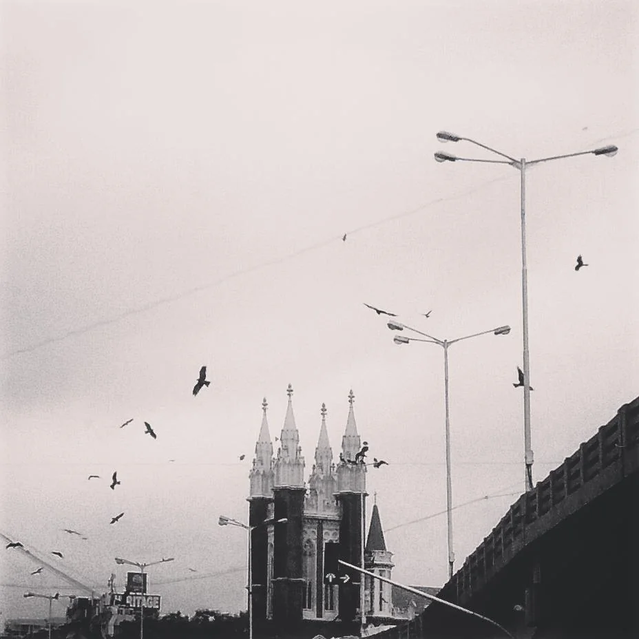 Lensfixed Photo Works — Portfolio