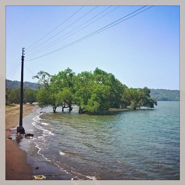 Lensfixed Photo Works — Portfolio