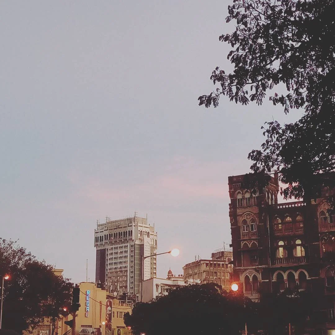 Lensfixed Photo Works — Portfolio