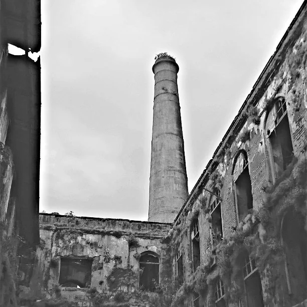 Lensfixed Photo Works — Portfolio