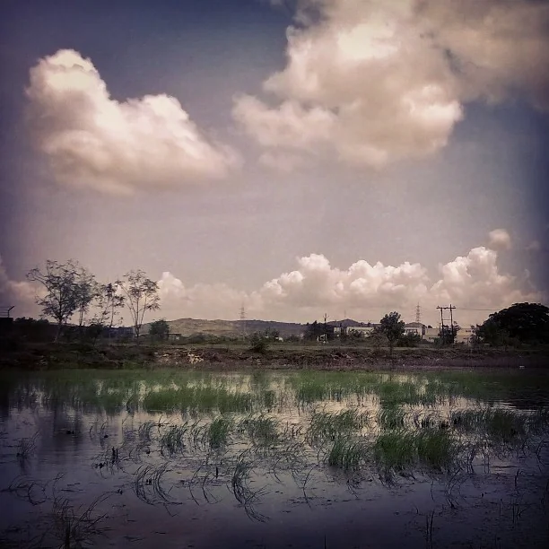 Lensfixed Photo Works — Portfolio
