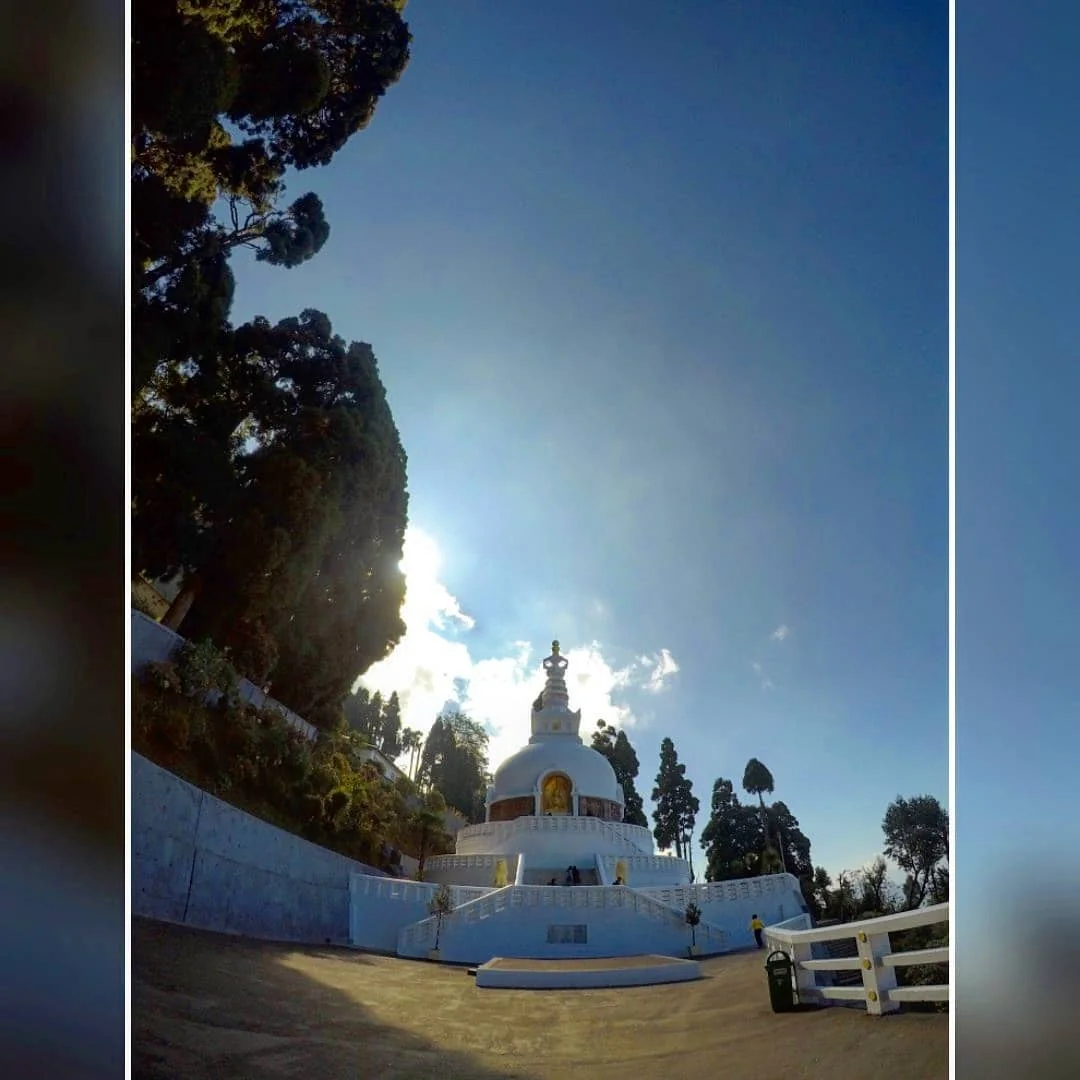 Lensfixed Photo Works — Portfolio