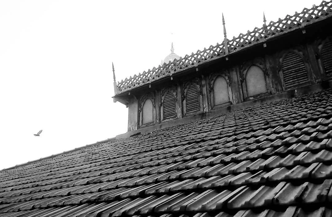 Lensfixed Photo Works — Portfolio