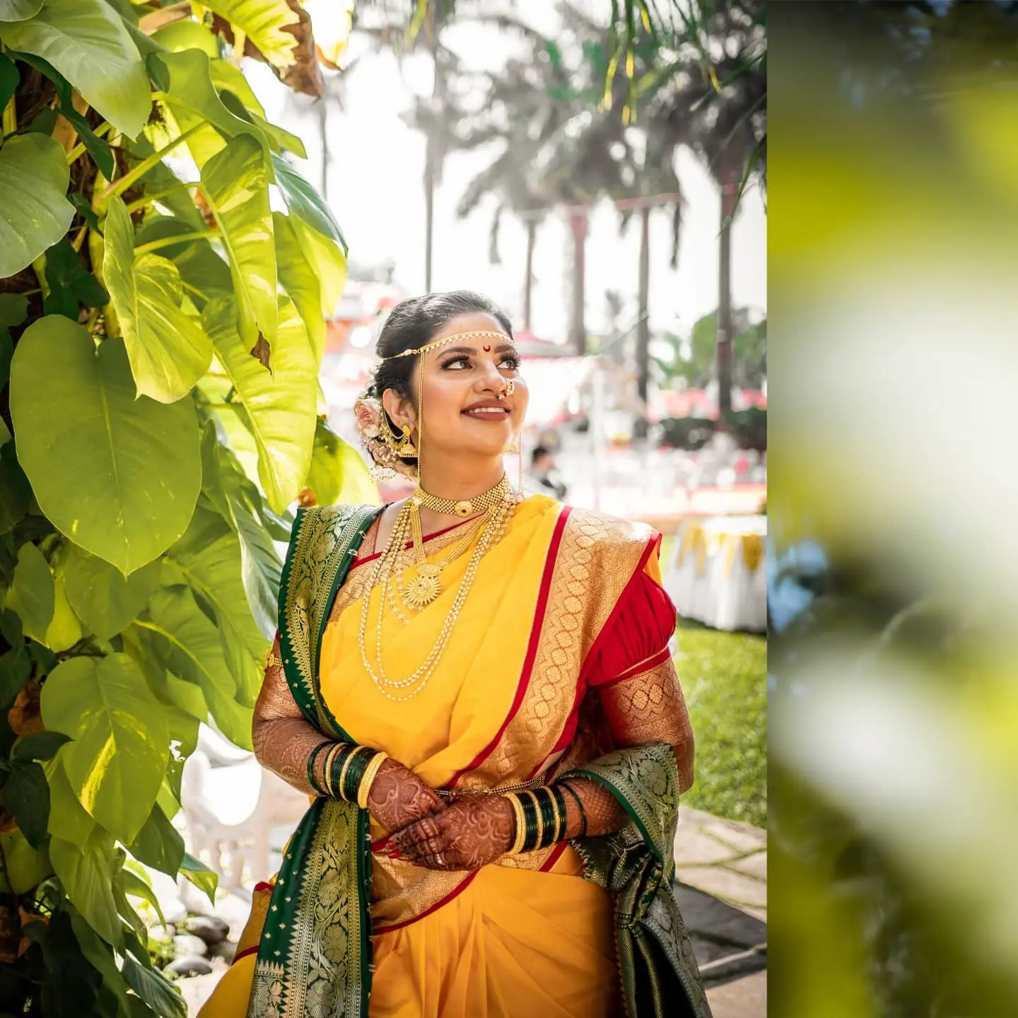 Lensfixed Photo Works — Portfolio