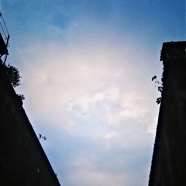 Lensfixed Photo Works — Portfolio