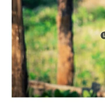 Lensfixed Photo Works — Portfolio