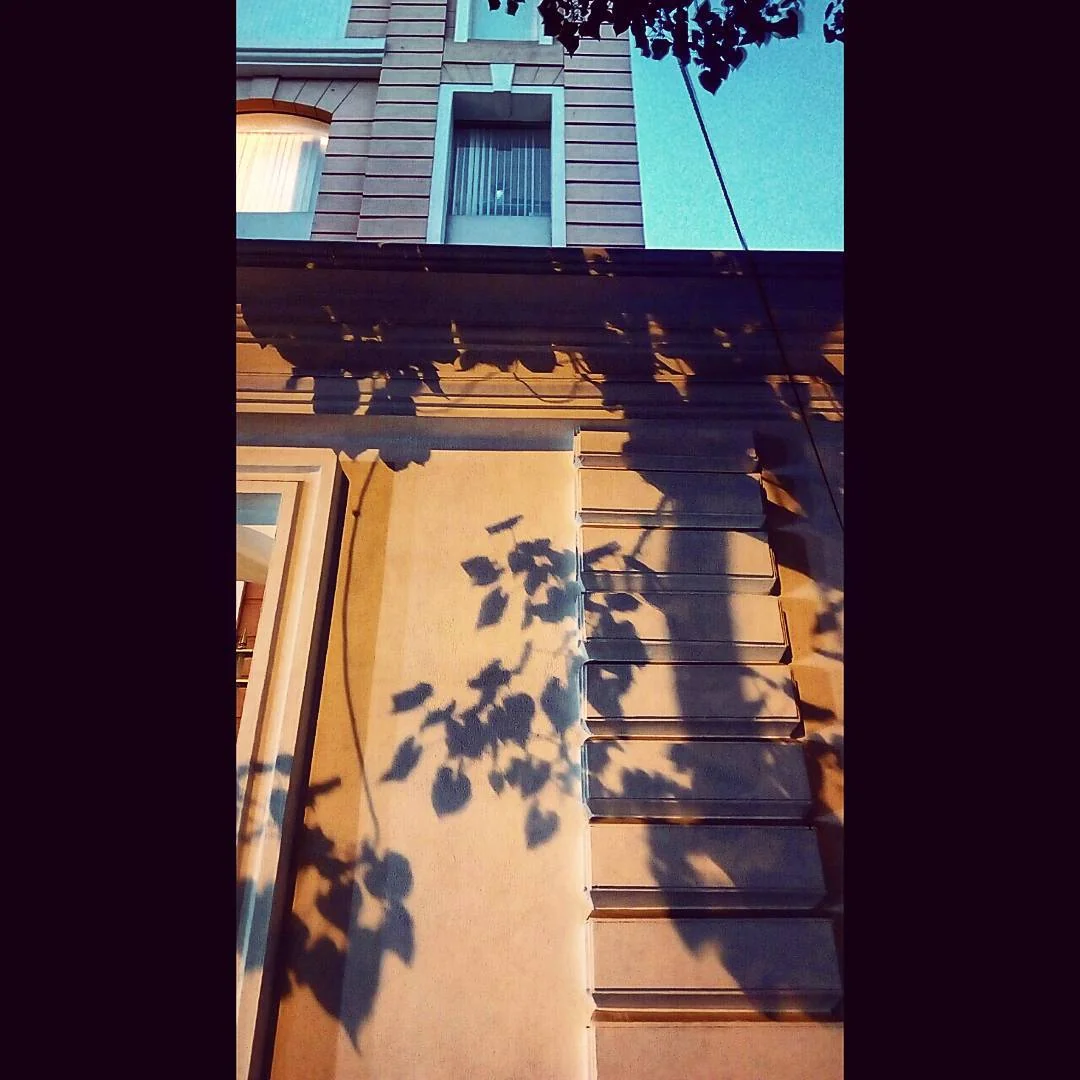 Lensfixed Photo Works — Portfolio