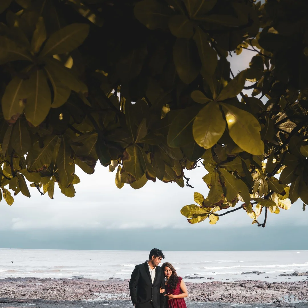 Lensfixed Photo Works — Portfolio