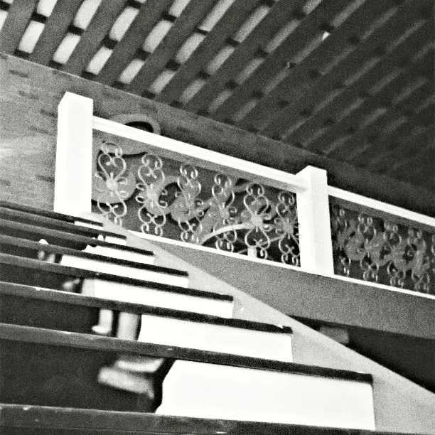 Lensfixed Photo Works — Portfolio