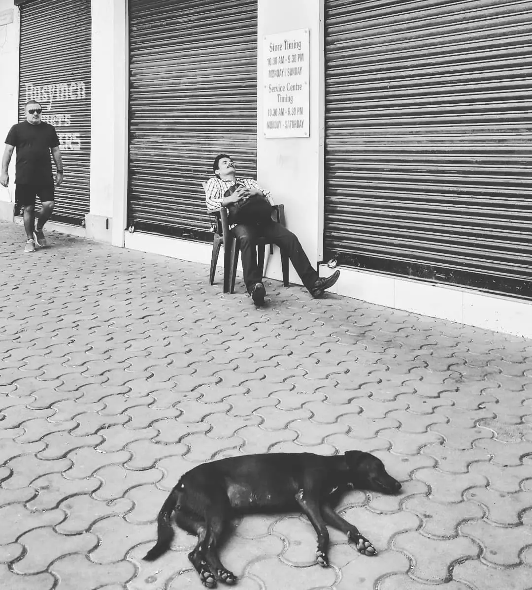 Lensfixed Photo Works — Portfolio