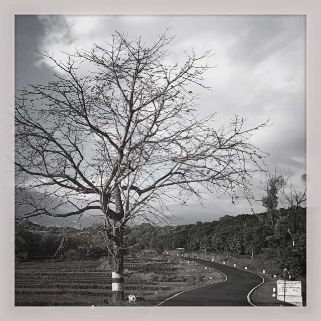 Lensfixed Photo Works — Portfolio