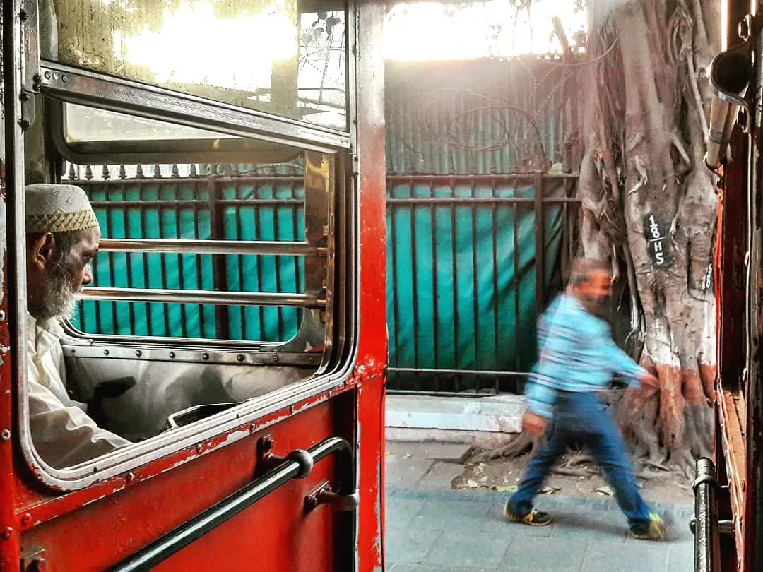 Lensfixed Photo Works — Portfolio