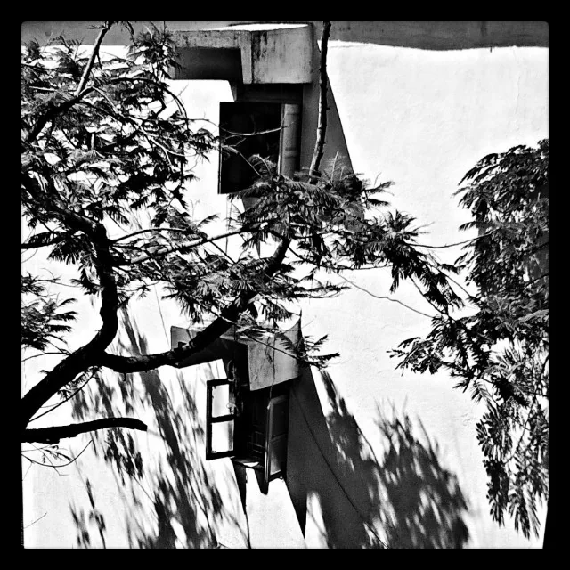 Lensfixed Photo Works — Portfolio