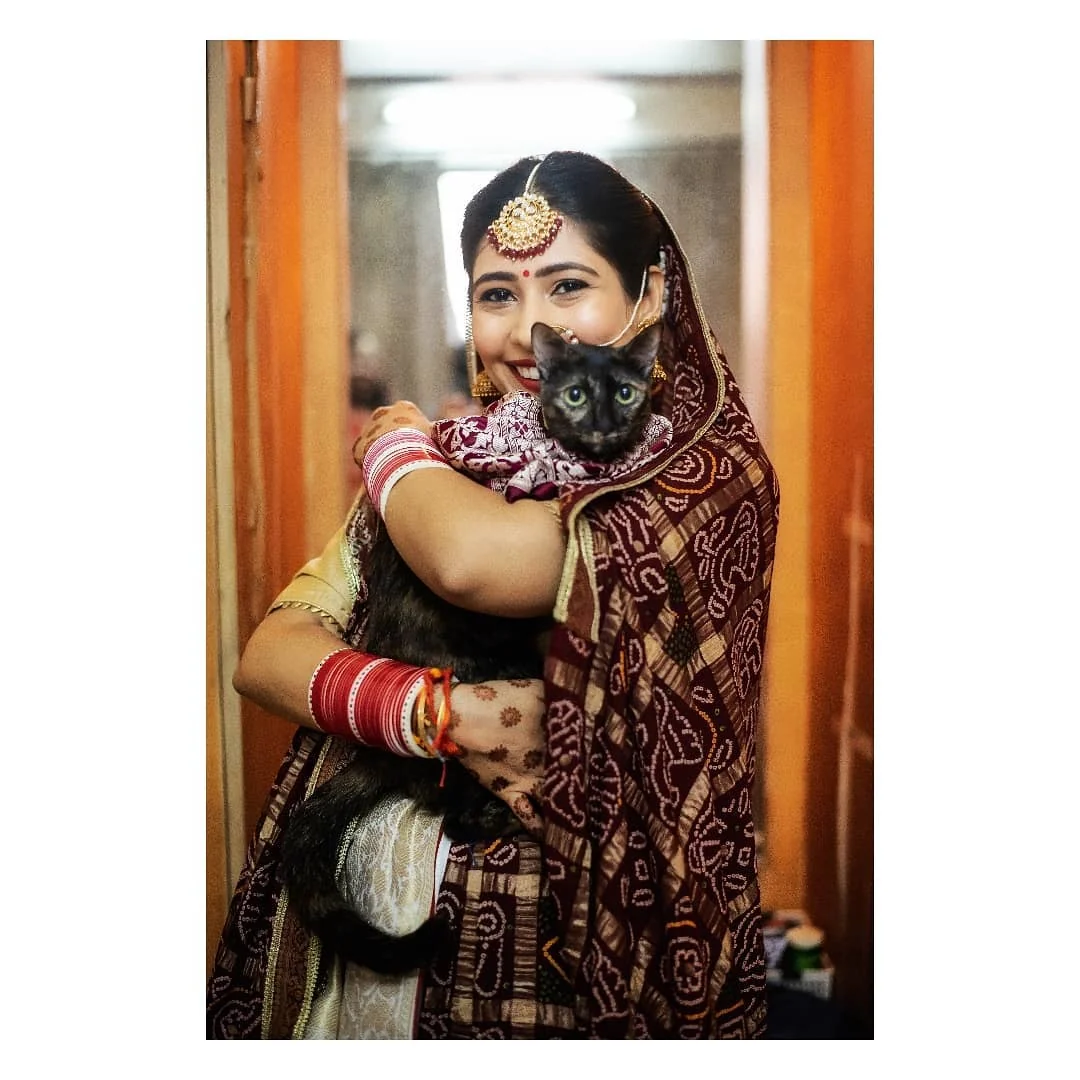 Lensfixed Photo Works — Portfolio