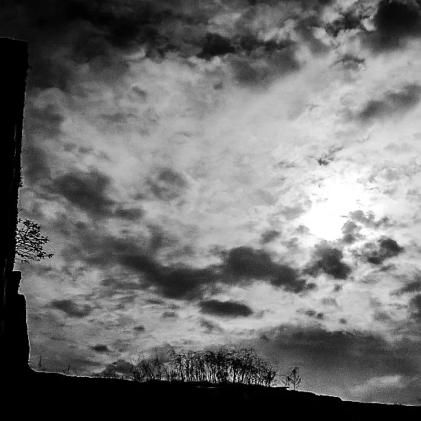 Lensfixed Photo Works — Portfolio