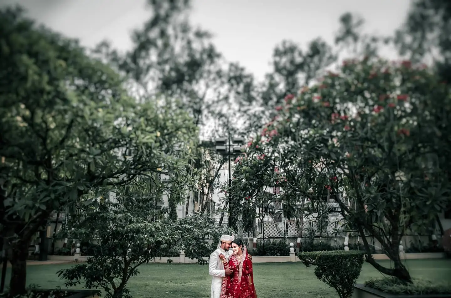 Lensfixed Photo Works — Portfolio