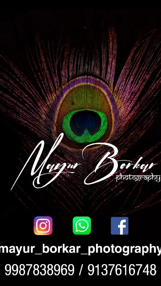 Portfolio 4