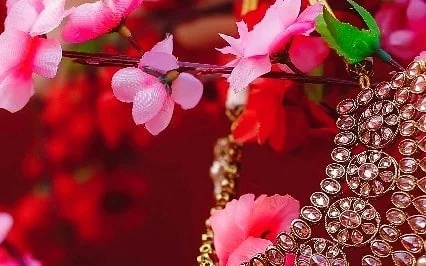 Mohit Malhotra Photography 5