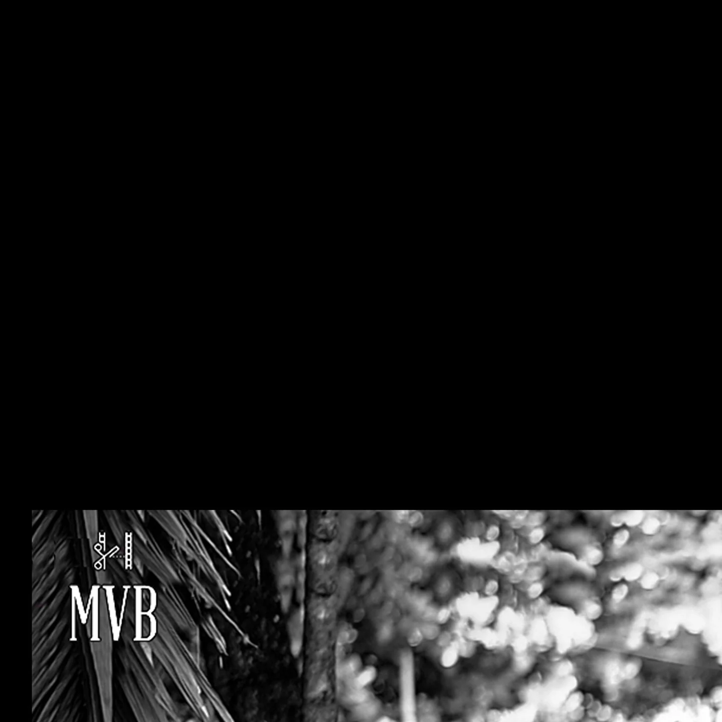 MVB Productions — Portfolio
