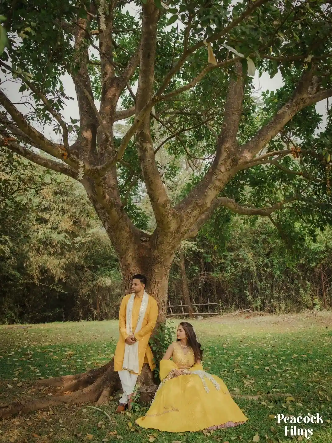 Peacock Films — Portfolio