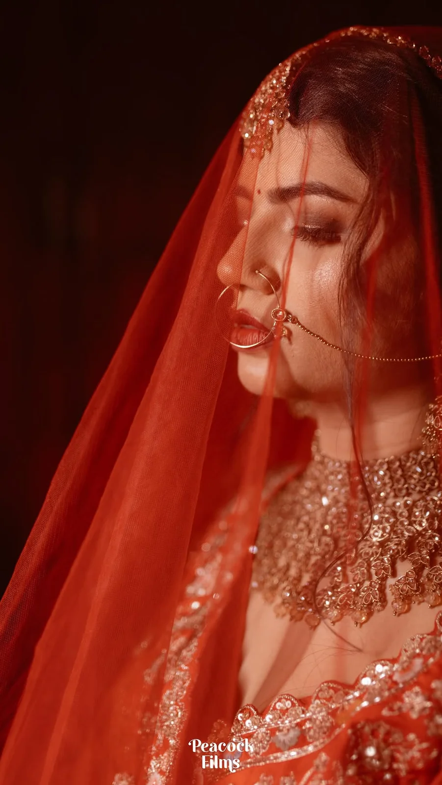 Peacock Films — Portfolio