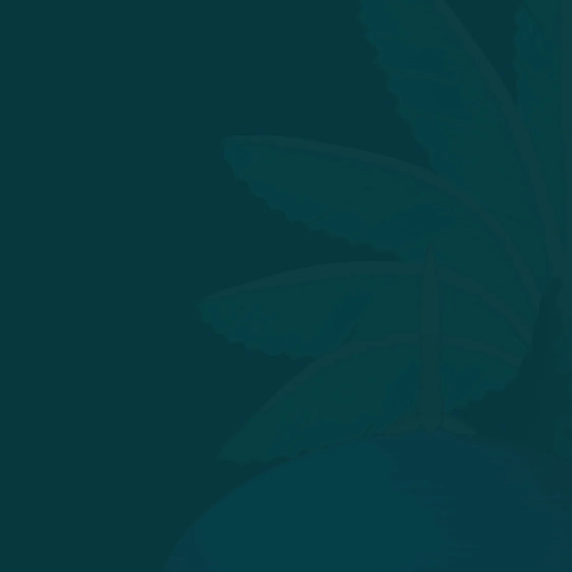 Peacock Films — Portfolio