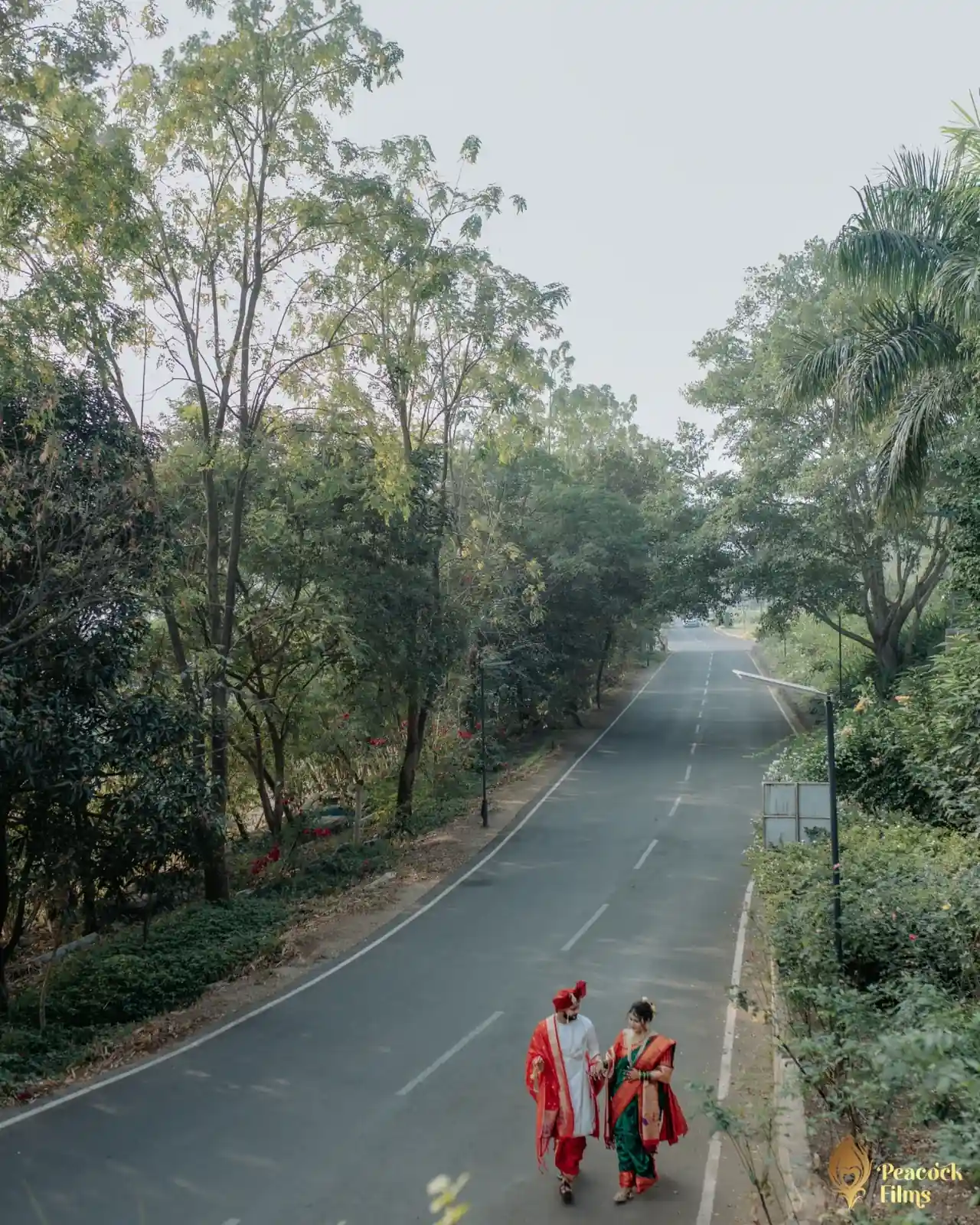 Peacock Films — Portfolio