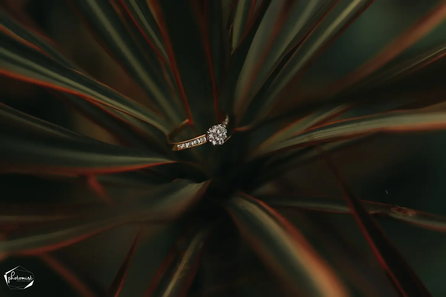 Photomist — Portfolio