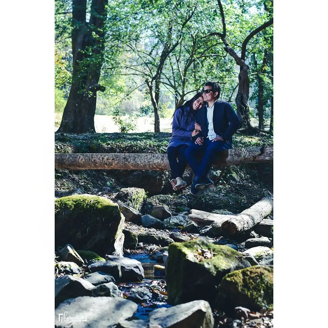 Photomist — Portfolio