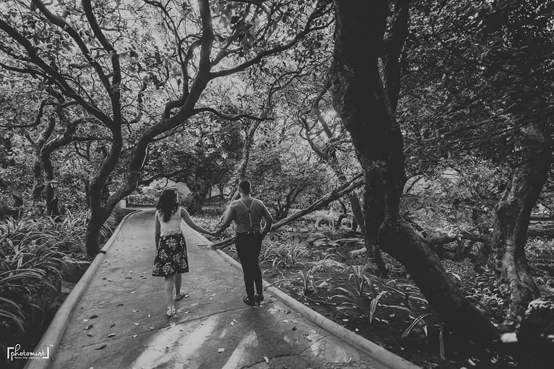 Photomist — Portfolio