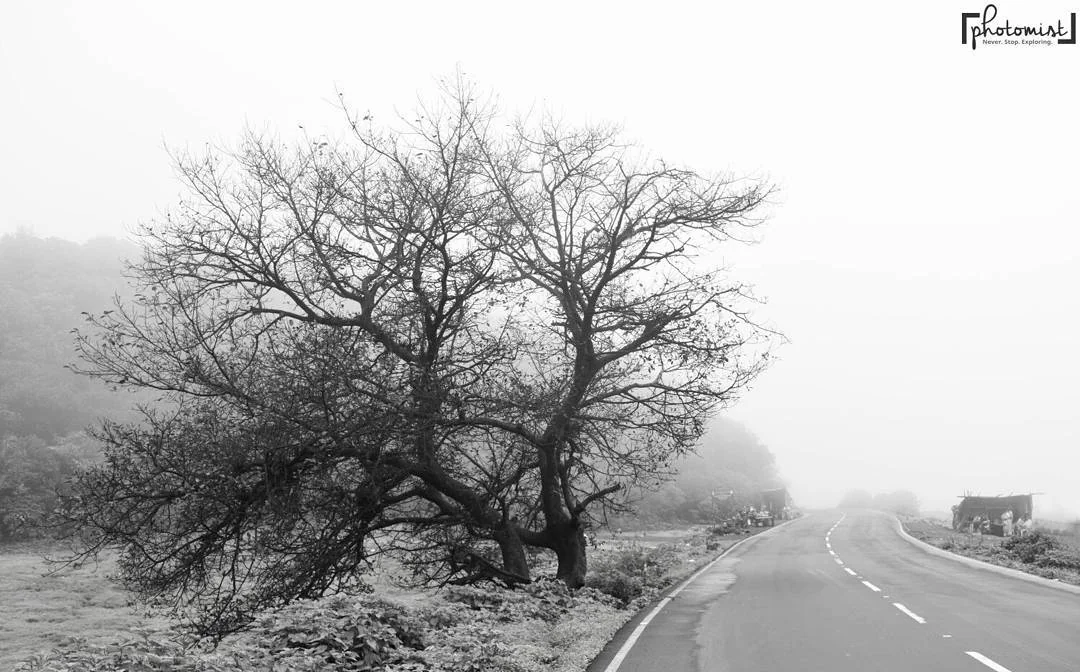 Photomist — Portfolio