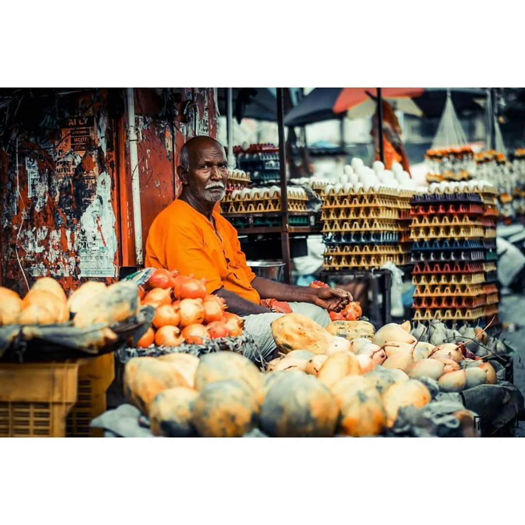 Photomist — Portfolio