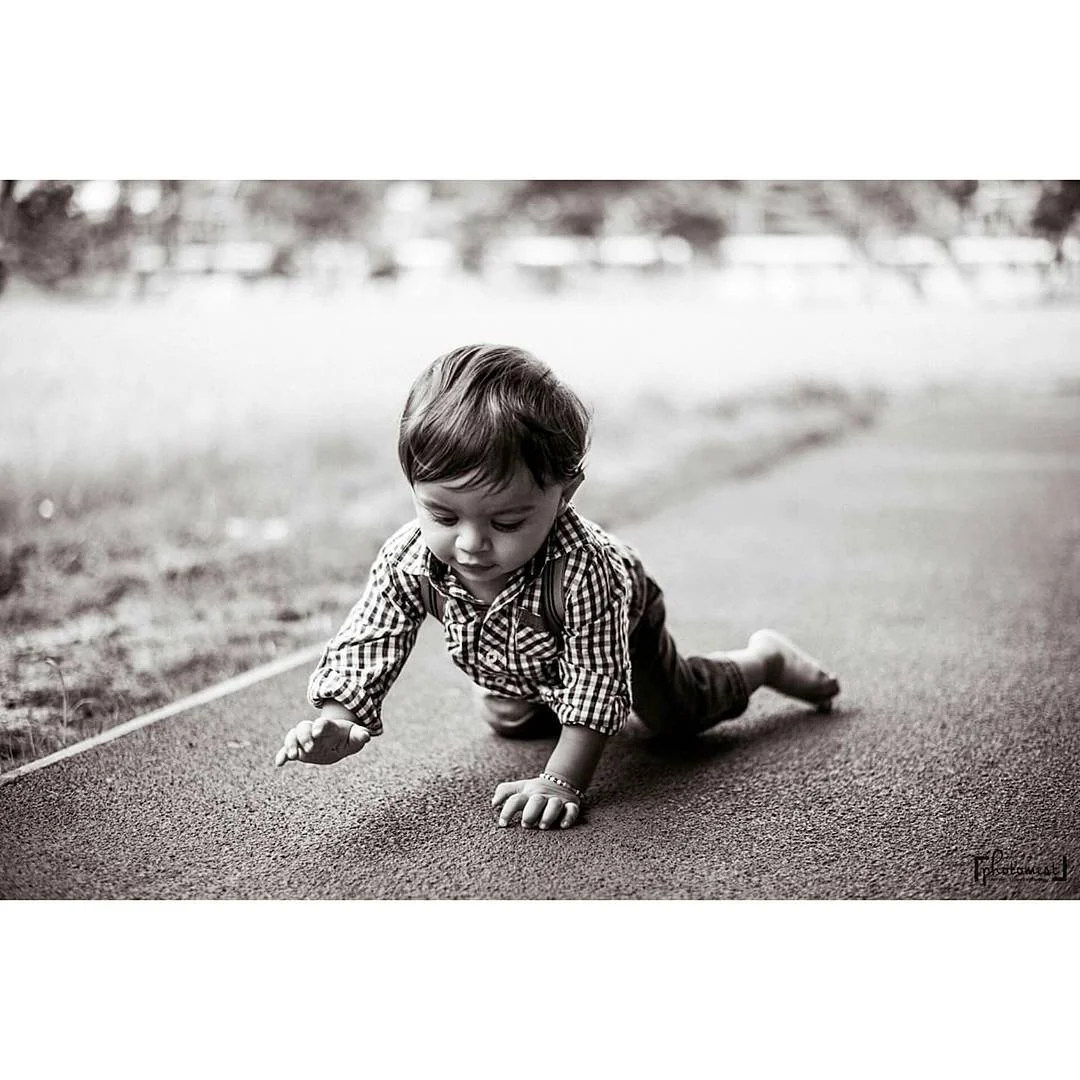 Photomist — Portfolio