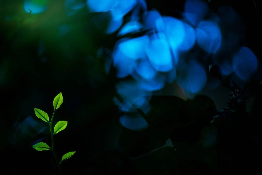 Portfolio 3