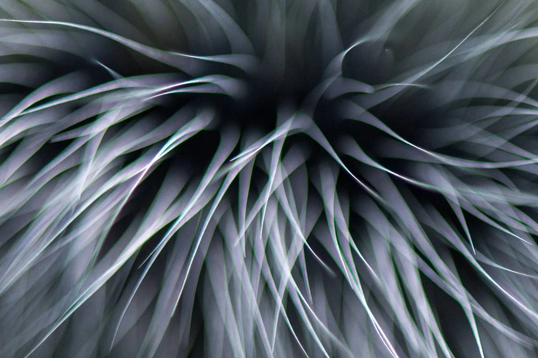 Portfolio 4