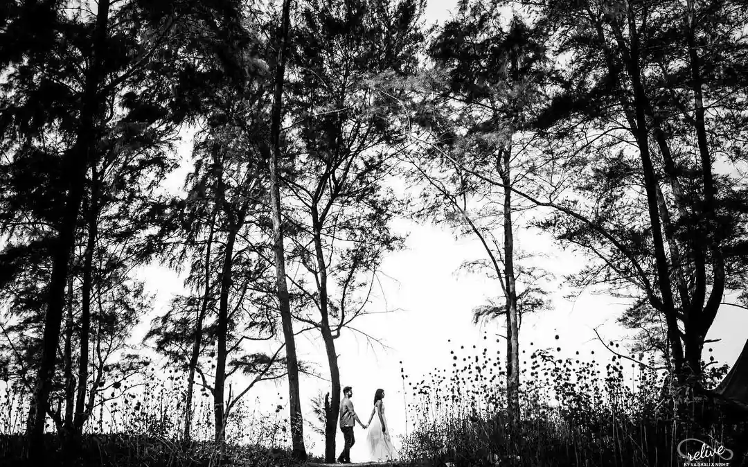 Relive by Vaishali & Nishit 2