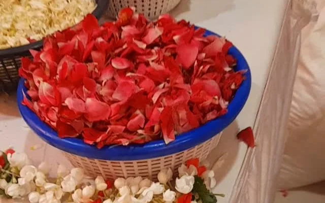 Shaadigraphers 3