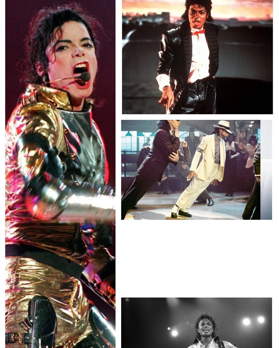 Portfolio 8