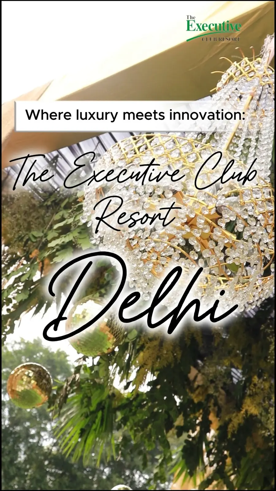 The Executive Club 5