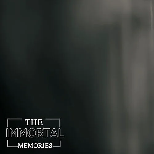 The Immortal Memories — Portfolio