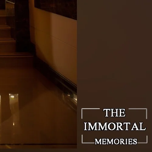 The Immortal Memories — Portfolio