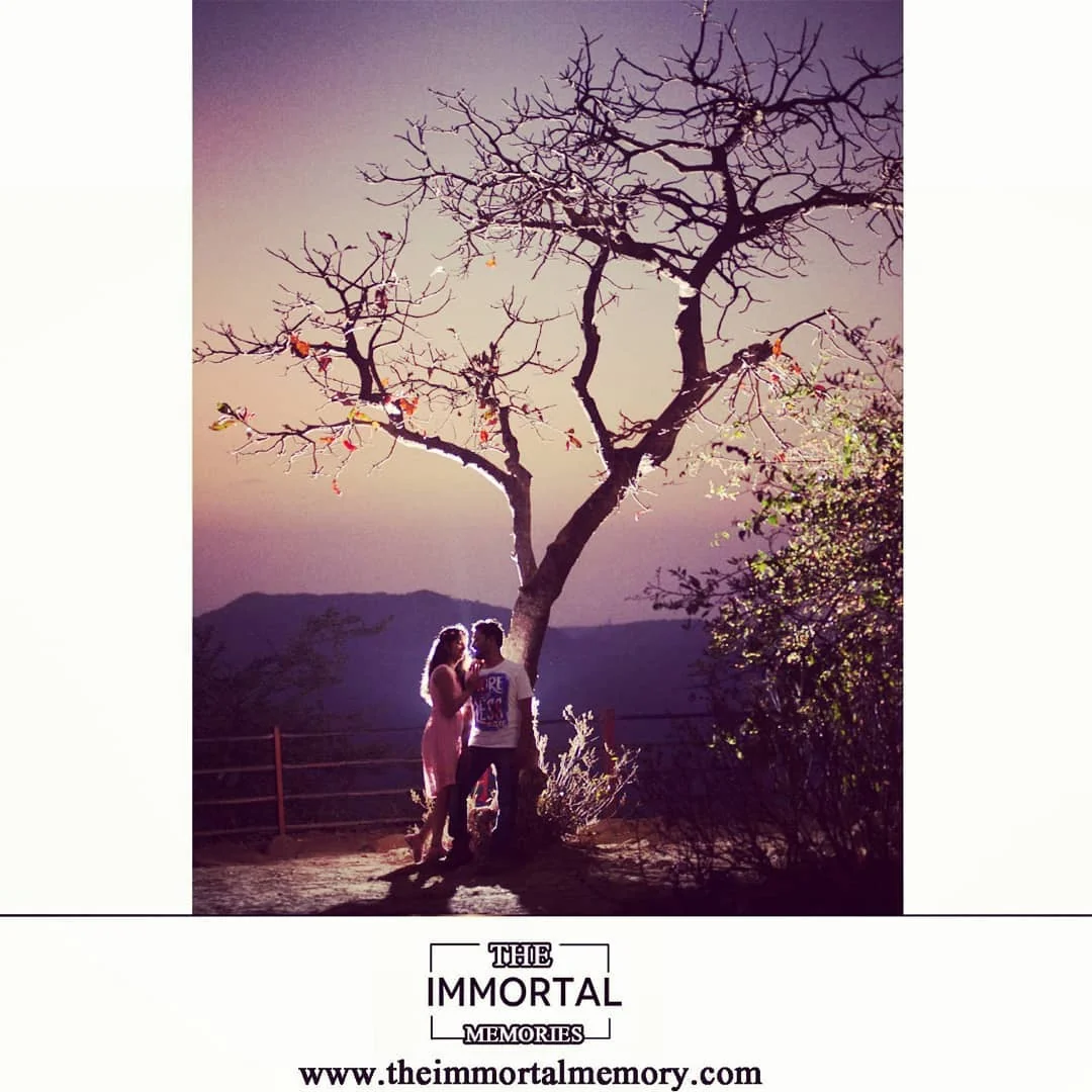 The Immortal Memories — Portfolio