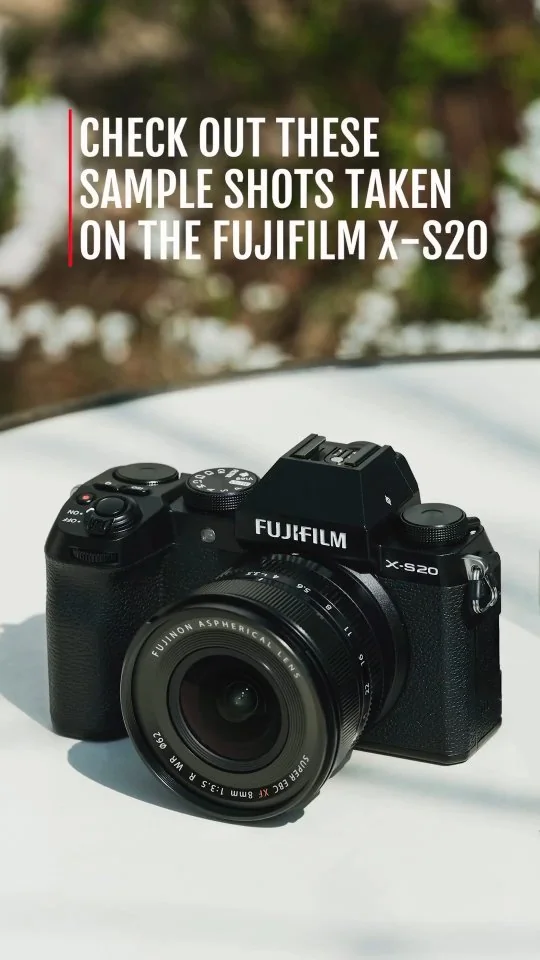 The Photo Store — Portfolio